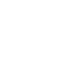 Custom Web Development